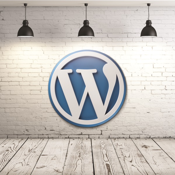Our WordPress web designers offer incredible services at low prices WordPress Web Design Services Wisconsin